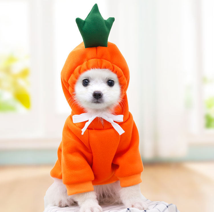 Cute Fruit-Themed Hoodies for Small Dogs – Winter Warm Fleece Pet Clothing - HamsterExpress