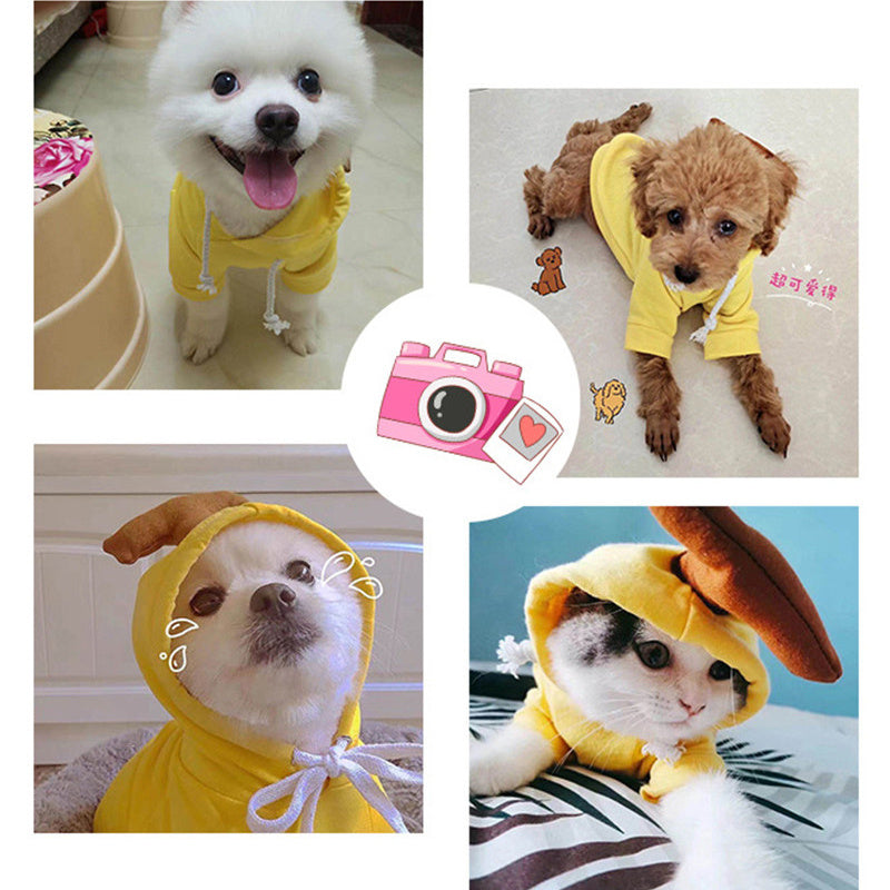 Cute Fruit-Themed Hoodies for Small Dogs – Winter Warm Fleece Pet Clothing - HamsterExpress