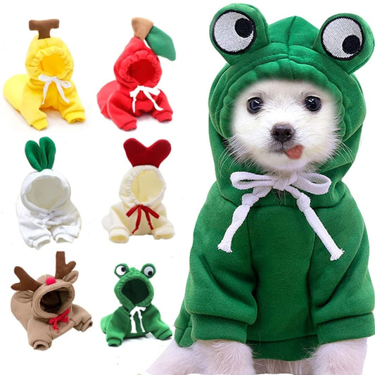 Cute Fruit-Themed Hoodies for Small Dogs – Winter Warm Fleece Pet Clothing - HamsterExpress