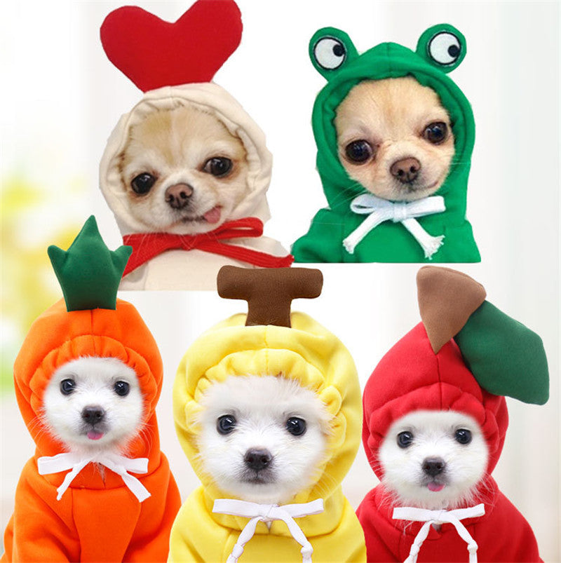 Cute Fruit-Themed Hoodies for Small Dogs – Winter Warm Fleece Pet Clothing - HamsterExpress