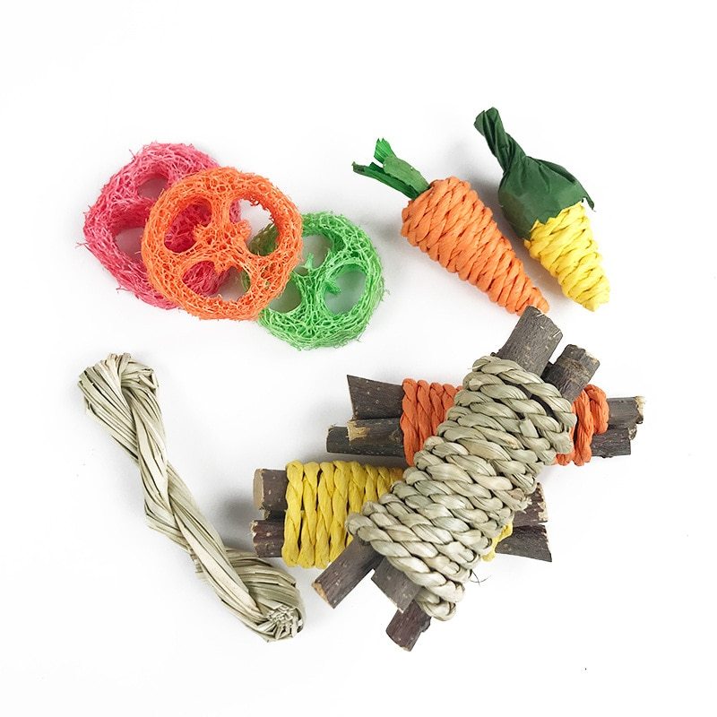 Pet Cleaning Hamster & Rabbit Teeth Grinding Toy Set - HamsterExpress