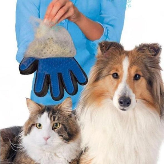 Pet Hair Removal Glove Brush - HamsterExpress