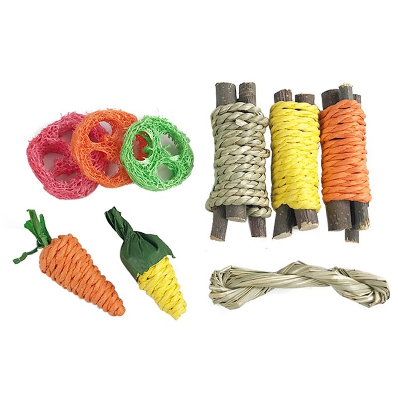 Pet Cleaning Hamster & Rabbit Teeth Grinding Toy Set - HamsterExpress